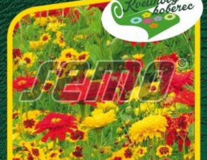 Semo semințe pentru covor floral „Energia vieții”