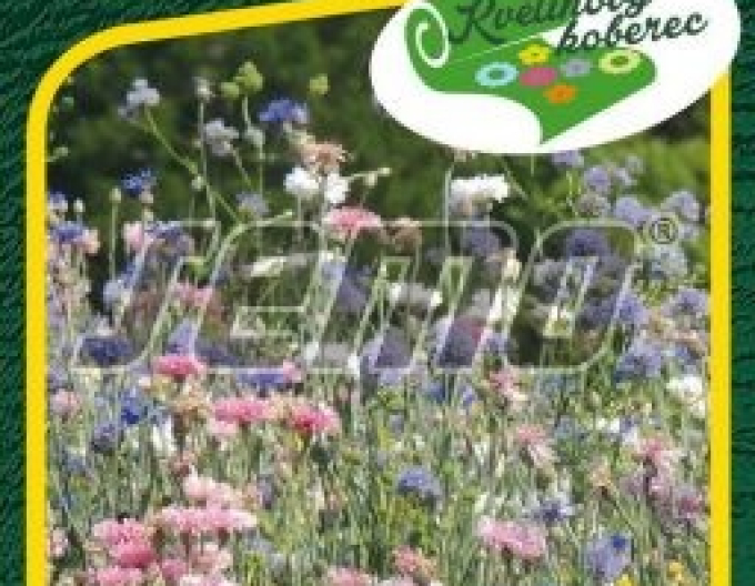 Semo semințe pentru covor floral „Romantism pastelat”