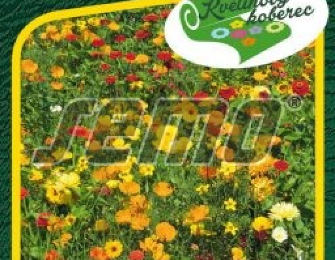 Semo semințe pentru covor floral „Mii de lumini”