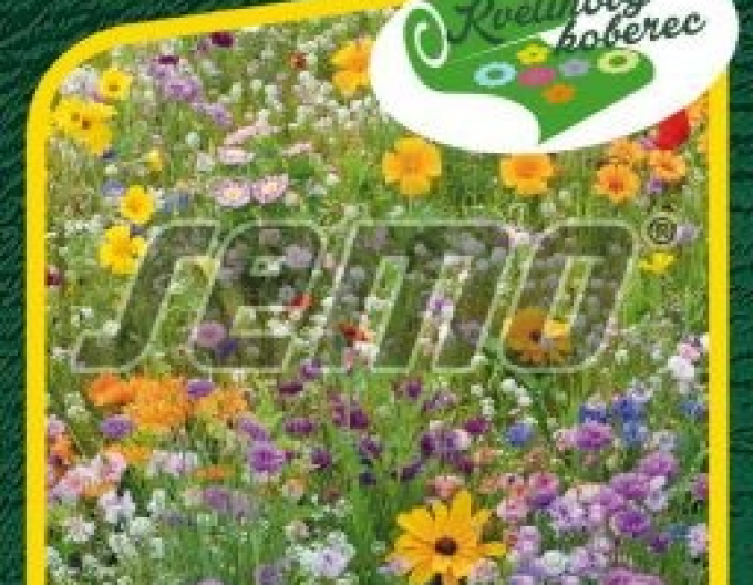 Semo semințe pentru covor floral „Vară colorată”