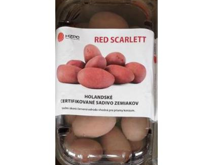 Cartofi de sămânță ´Red Scarlett´ tub aprox. 1kg