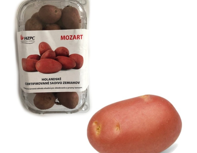 Cartofi de sămânță ´Mozart´ tub aprox. 1kg