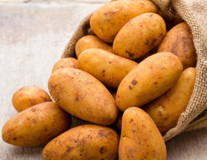 Cartofi de sămânță ´Wega´ 5kg