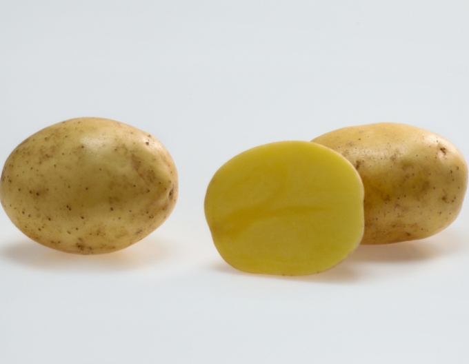 Cartofi de sămânță ´Soraya´ 5kg