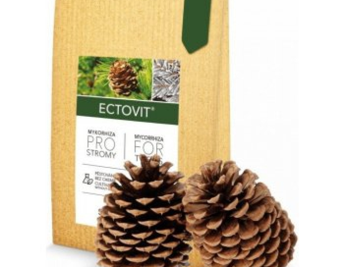 Symbivit Ectovit - micoriză pentru copaci 100 g