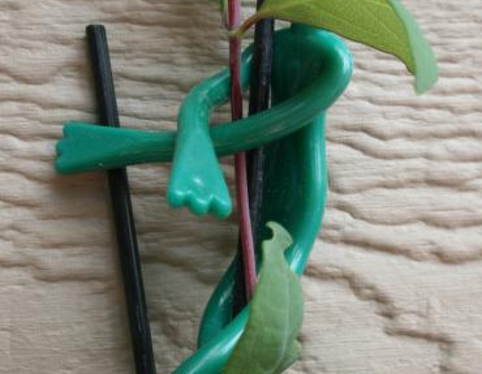 Flip-flops pentru legarea plantelor