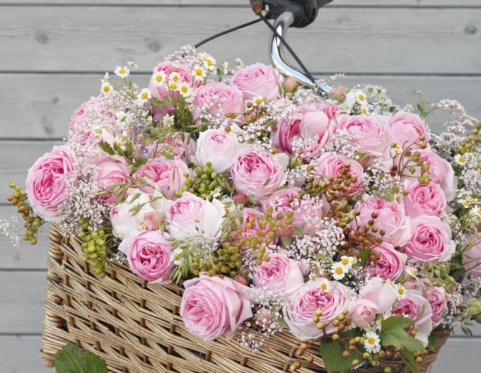 Trandafir Wellenspiel