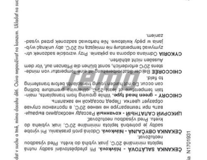 Semințe Cicoare salată de salată ´Bravo´