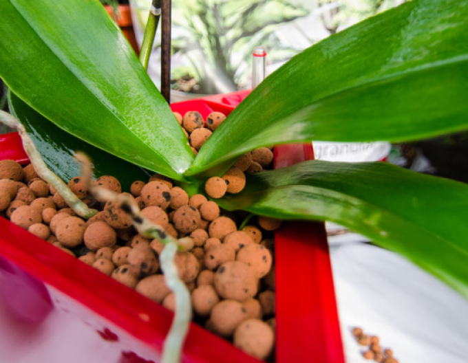 Keramzite 8 - 16mm 50l