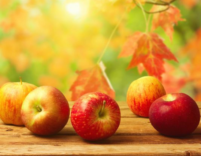 Pom de mere Jonathan iarnă, portaltoi. MM106, liber.