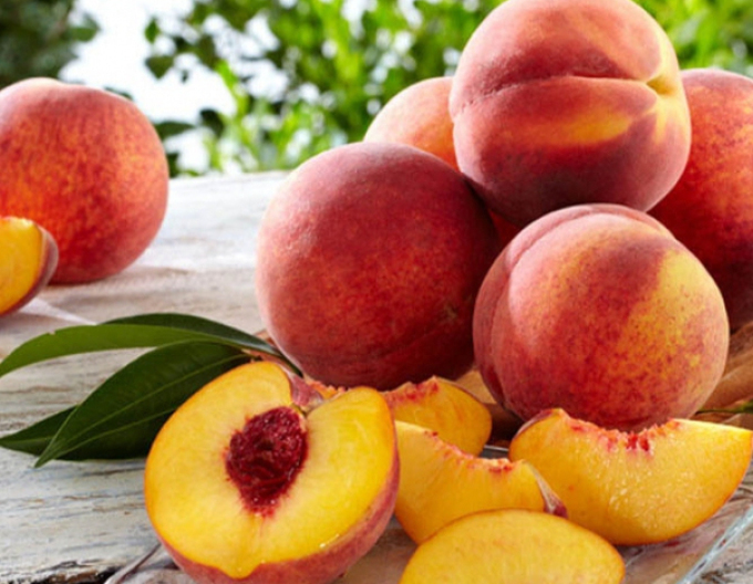 Piersic Flamingo semi-hardy, sub.ISHTARA, liber.