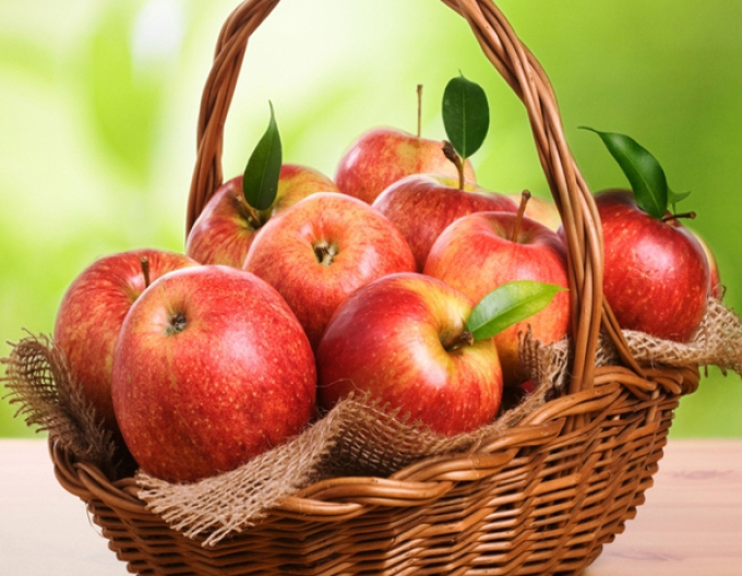 Măr Jonagold iarnă, portaltoi MM106, rădăcină liberă