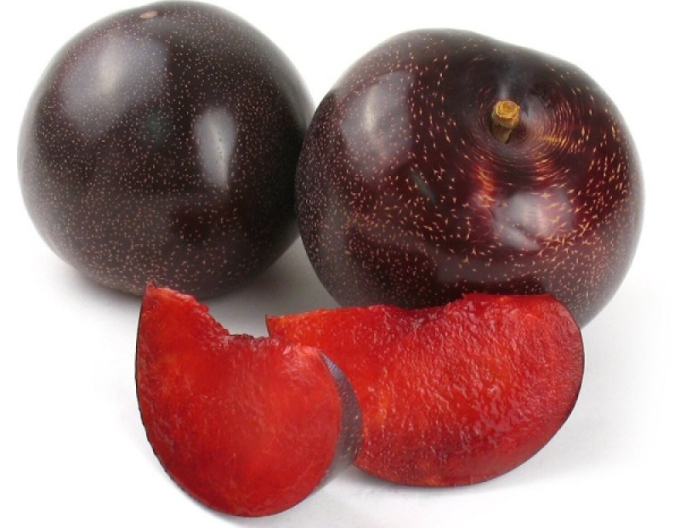 Caise-plum ´Columnare´, sub. Myrobalan, cont. 5l