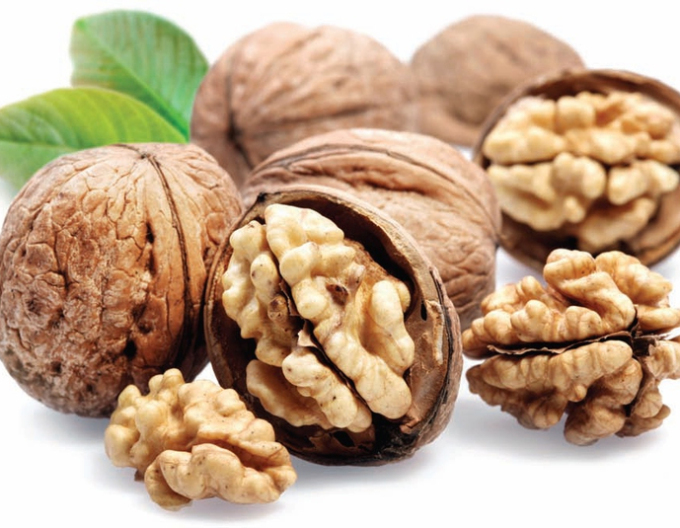 Nucă "Seifersdorfský", liber.