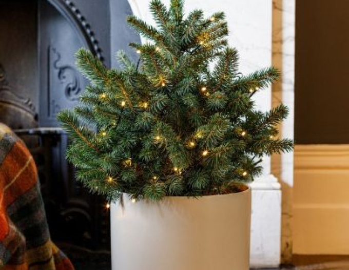 molid 40/60 cm, cont.