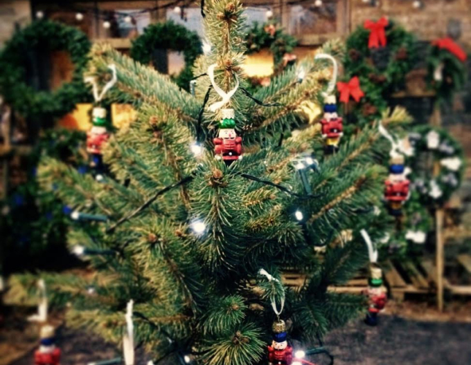 molid 60/80 cm, cont.