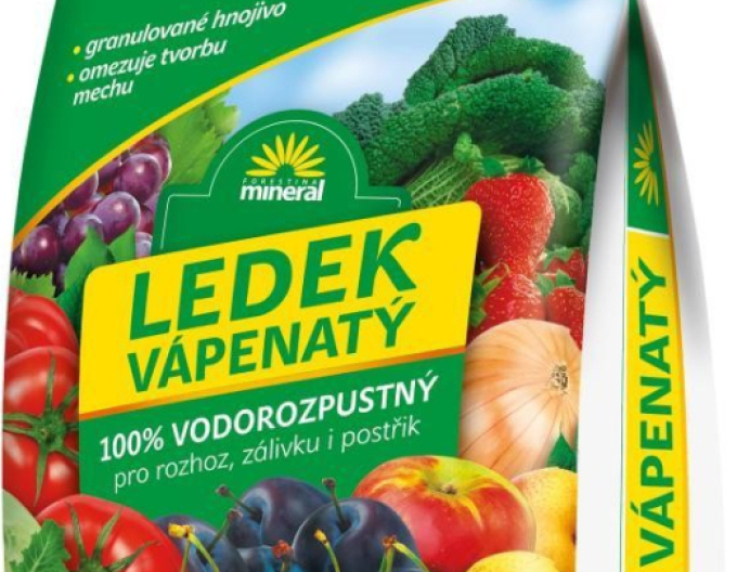 Forestina Liadoc calciu 5kg