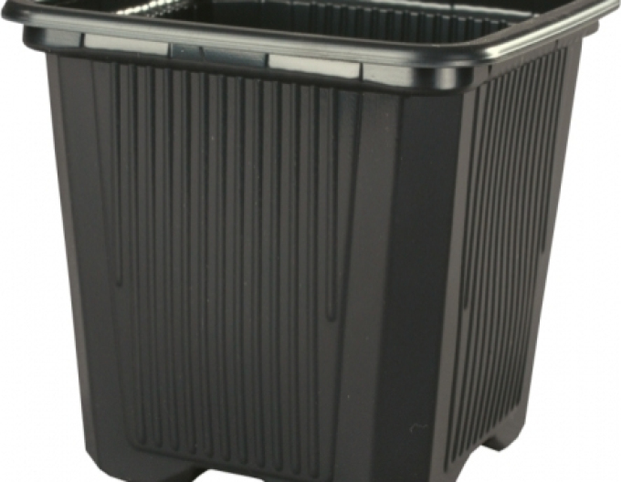 Ghiveci de flori pătrat din plastic 7x7x8 - 10pcs