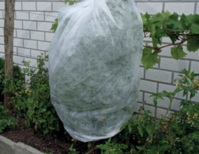 Țesătură nețesută albă 17g/m2 1,6 x 3m