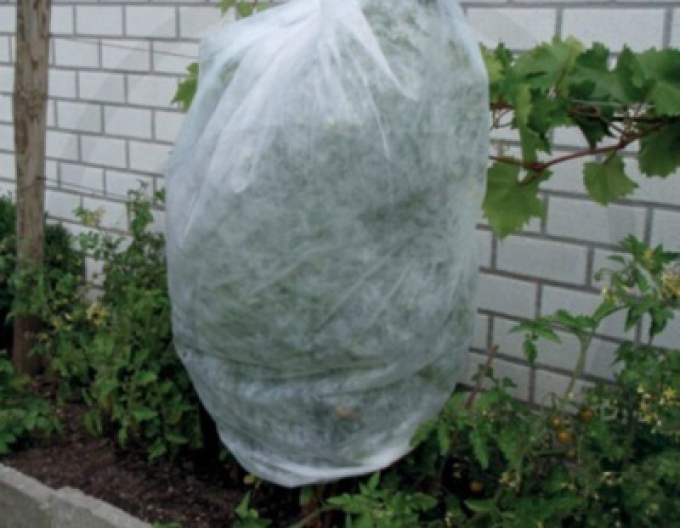 Țesătură nețesută albă 17g/m2 1,6 x 50m