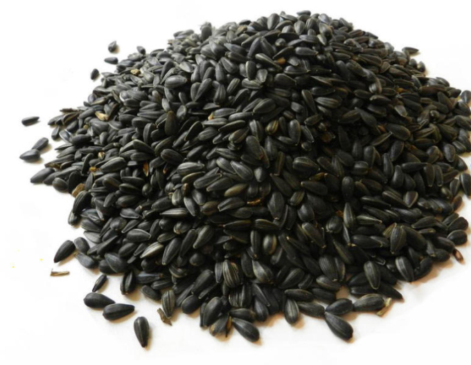 Floarea-soarelui neagră Forestina - furaj 25kg