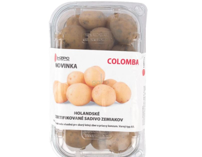 Cartofi de sămânță ´Colomba´ tub aprox. 1kg
