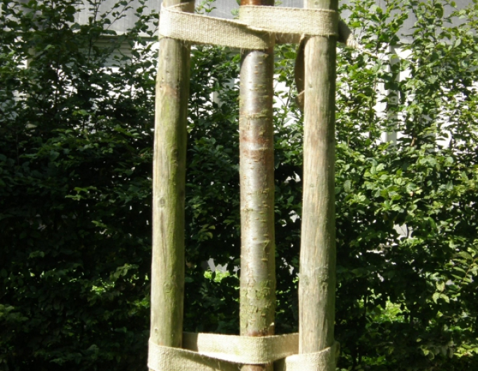 Curea de ancorare pentru copac lățime 35mm, lungime 50m