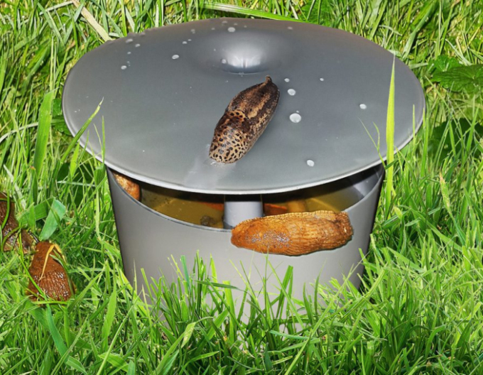 Capcană pentru melci