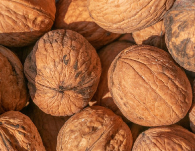 Nuc ´Fernor´, ghiveci 5 L