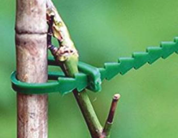 Pansament pentru copaci 180mm