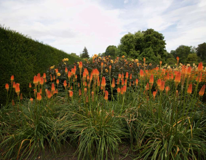 Torță "Ministrul Verschuur