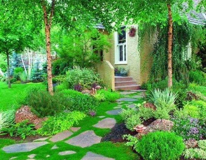 Mușchi scoțian ´Supreme´