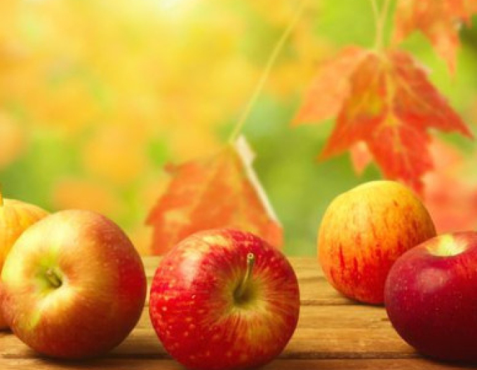 Măr de iarnă "Jonathan", sub. A2, liber.