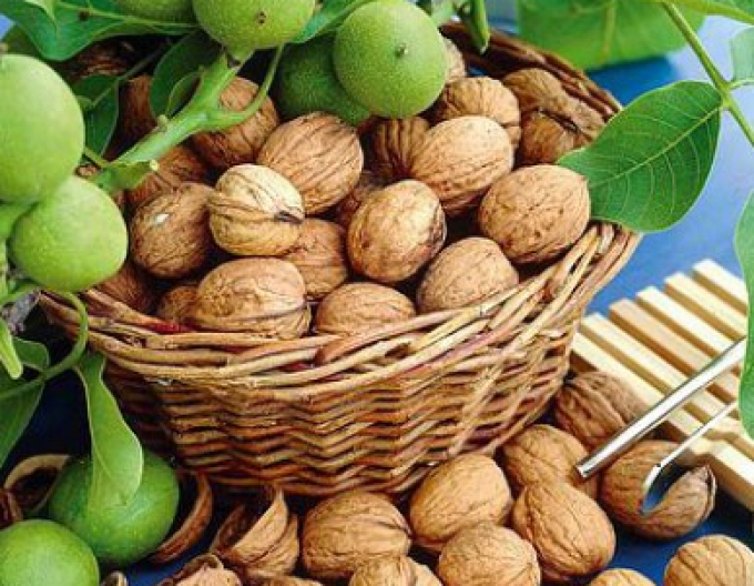 Nuc ´Lara´ , liber.