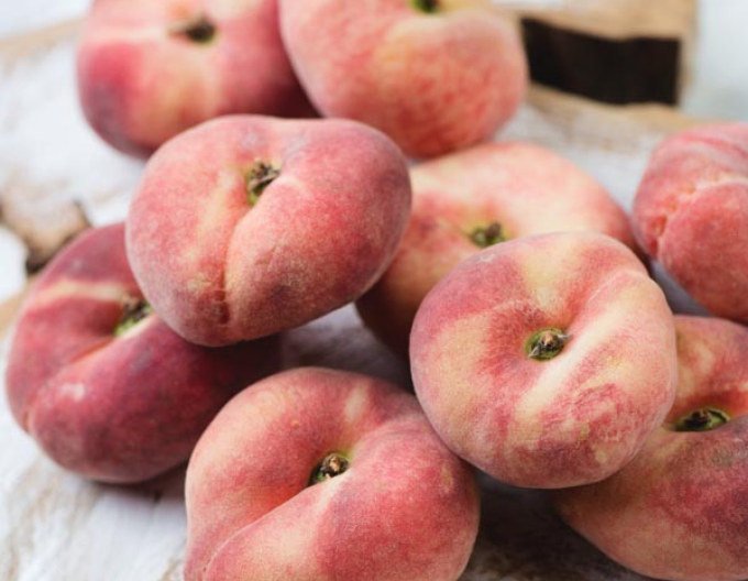Late Donut piersică târzie, sub. Răsad, liber.