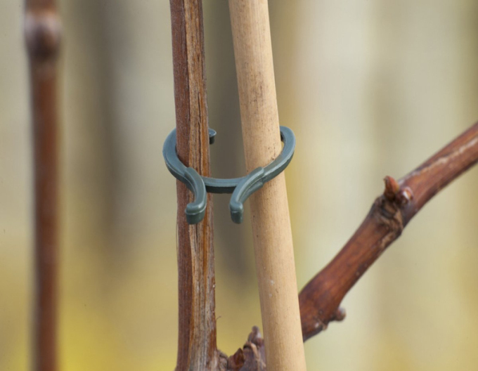 Cleme pentru plante 20mm