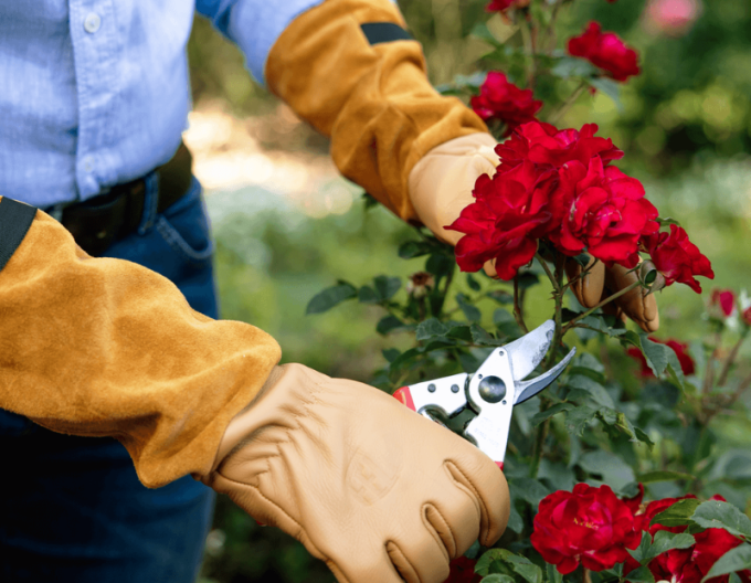 FELCO 705 Mănuși pentru trandafiri