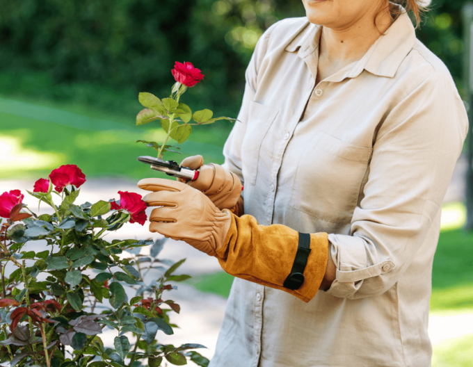 FELCO 705 Mănuși pentru trandafiri