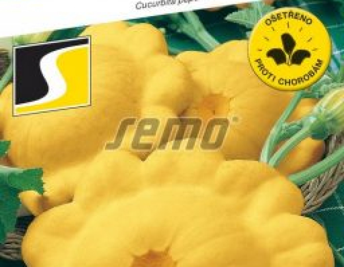 Semo Patisson ´Sunseance F1´