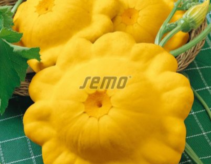 Semo Patisson ´Sunseance F1´