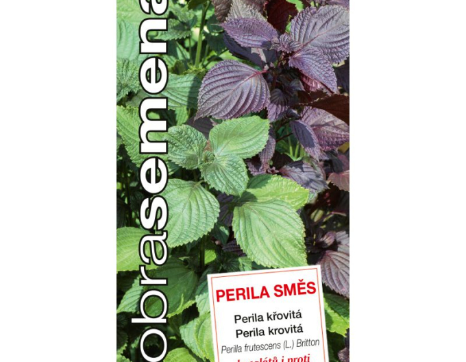 Semințe de  Perilla bush