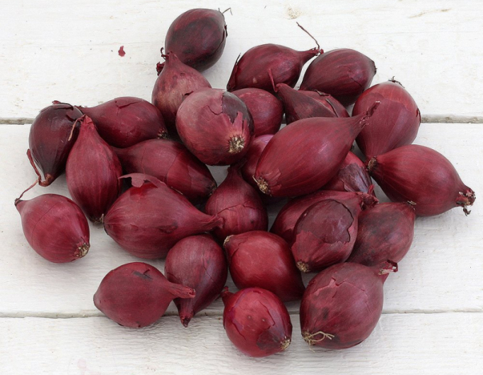 Ceapă pentru plantare Red Baron 10/21 0,25kg