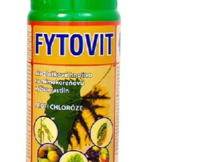 Phytovit 0,5l - împotriva clorozei