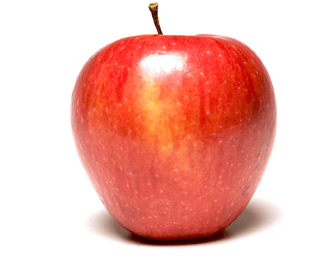 Măr Pinova iarnă, portaltoi A2, rădăcină liberă