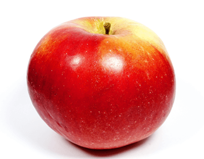 Măr ´Idared´ iarnă, portaltoi M9, ghiveci 5l