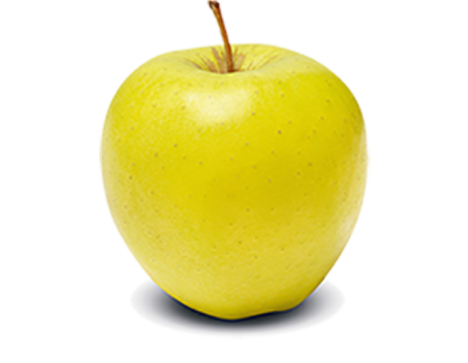 Pom de măr ´Golden Delicious´ iarna, sub. M9, cont. 5l