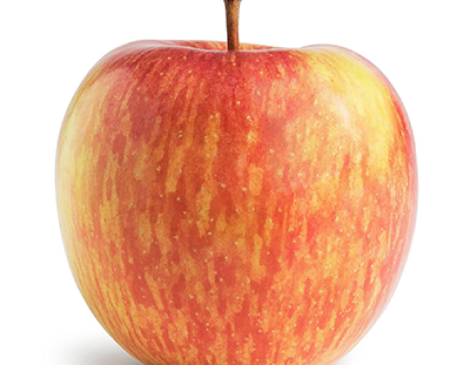 Măr de iarnă Fuji, portaltoi. A2, liber.