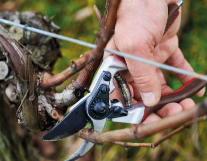 FELCO 6 Elite Secateurs