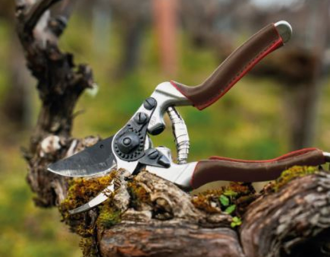 FELCO 8 Elite Secateurs