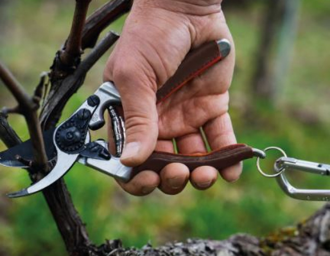 FELCO 8 Elite Secateurs